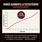 Roméo Performance Gummies 6 en 1